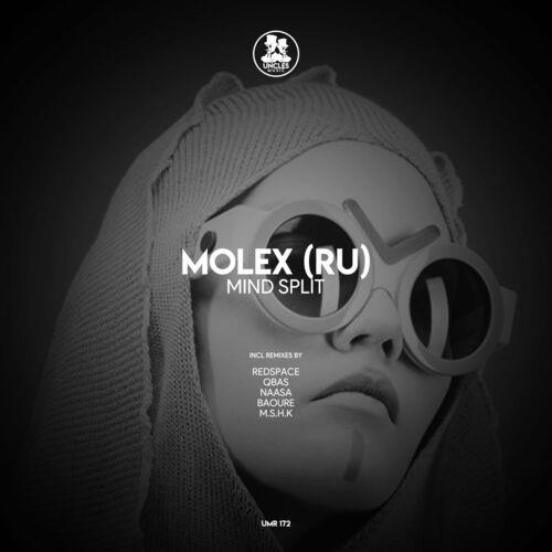 VA - Molex (RU) - Mind Split (2022) (MP3)