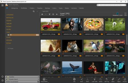 IDimager Photo Supreme 7.4.1.4624 (x64) Multilingual Portable