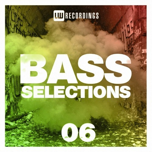 VA - Bass Selections, Vol. 06 (2022) (MP3)