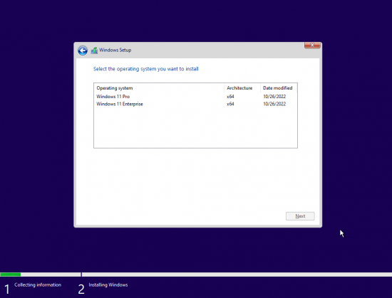 Windows 11 Pro & Enterprise 21H2 Build 22000.1219 x64 November 2022 Pre-Activated (No TPM Required)
