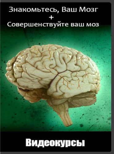 Знакомьтесь, Ваш Мозг + Совершенствуйте ваш мозг (Видеокурсы)