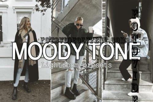 12 Moody Tone Lightroom presets - 10357096