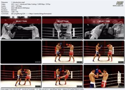 Muay Thai: Intensive  Training Fb19a46988916e45ed77cdcbc5d59006