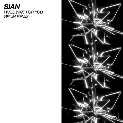 VA - Sian - I Will Wait For You (2022) (MP3)