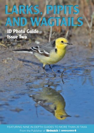 Bird ID Photo Guides – Issue 2, 2022