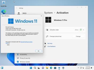 Windows 11 Pro 22H2 Build 22621.819 (No TPM Required) Preactivated Multilingual (x64)