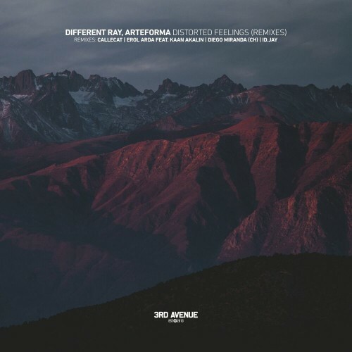 VA - Different Ray & Arteforma - Distorted Feelings (Remixes) (2022) (MP3)