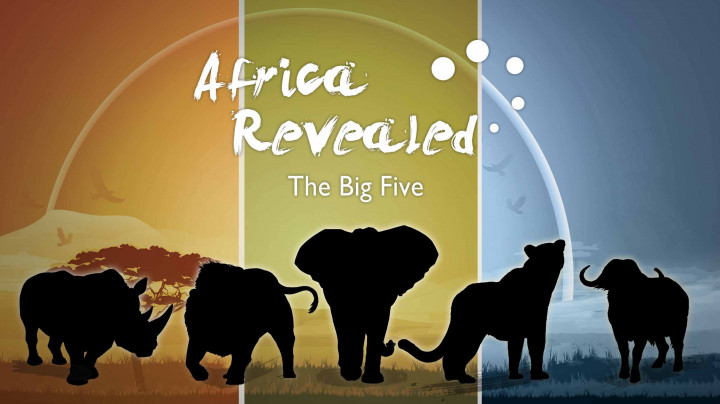 Wielka piątka Afryki / Africa's Big Five (2020) PL.1080i.HDTV.H264-B89 | POLSKI LEKTOR