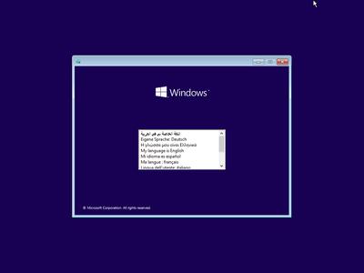 Windows 10 Pro 22H2 Build 19045.2194 Multilingual Preactivated (x64) 