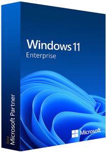 Windows 11 Enterprise 22H2 Build 22621.819 (No TPM Required) Preactivated Multilingual (x64)