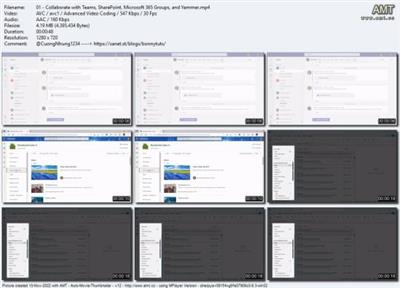 Microsoft Collaboration: SharePoint, Teams, Groups, and  Yammer