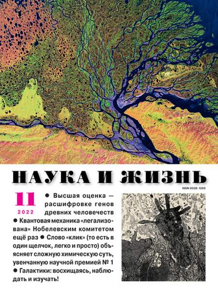 Наука и жизнь №11 (ноябрь 2022)