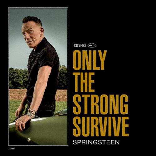 VA - Bruce Springsteen - Only The Strong Survive (2022) (MP3)