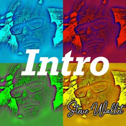 VA - Steve Wallet - Intro (2022) (MP3)
