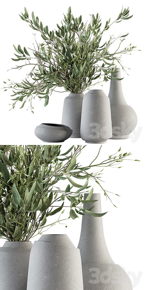 Vase and Plant Decorative Set – Set 81 3D Models