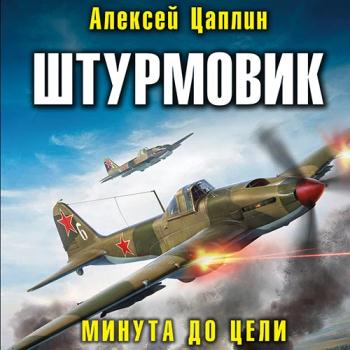 постер к Цаплин Алексей - Штурмовик. Минута до цели (Аудиокнига)