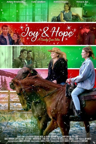 Joy And Hope (2020) 1080p BluRay H265 BONE