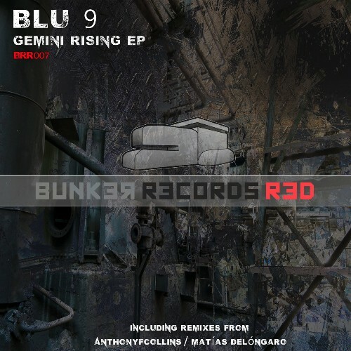 VA - Blu 9 - Gemini Rising (2022) (MP3)