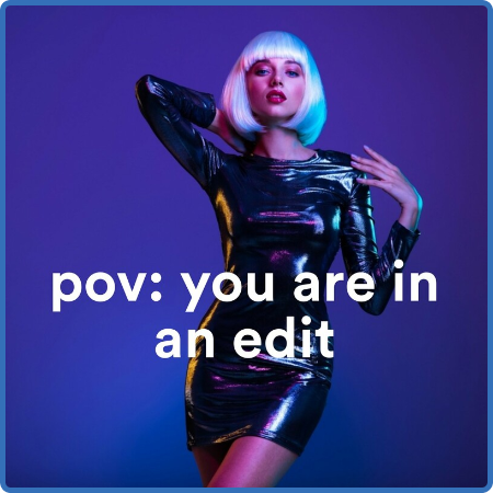 Various Artists - pov꞉ You are in an edit (2022)