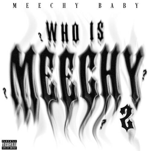 VA - Meechy Baby, Quando Rondo - Who Is Meechy 2 (2022) (MP3)