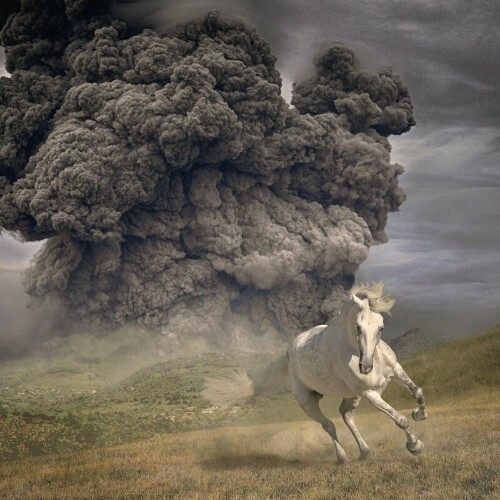 VA - The White Buffalo - Year Of The Dark Horse (2022) (MP3)