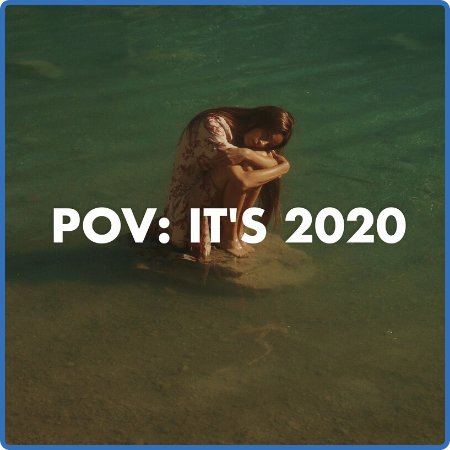Various Artists - pov꞉ it's 2020 (2022)