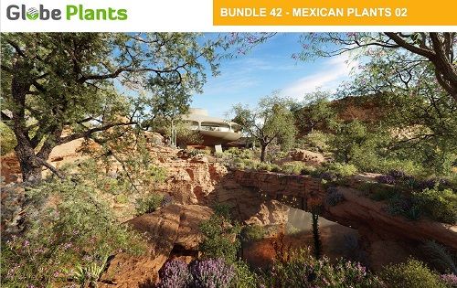 Globe Plants - Bundle 42 Mexican Plants 02