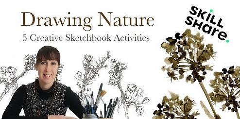 Drawing Nature – Five Creative Sketchbook Activities