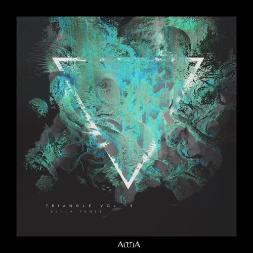 VA - Triangle Vol 5 (2022) (MP3)