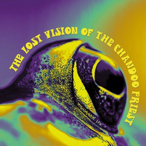 VA - The Lost Vision Of The Chandoo Priest - The Lost Vision Of The Chandoo Priest (2022) (MP3)