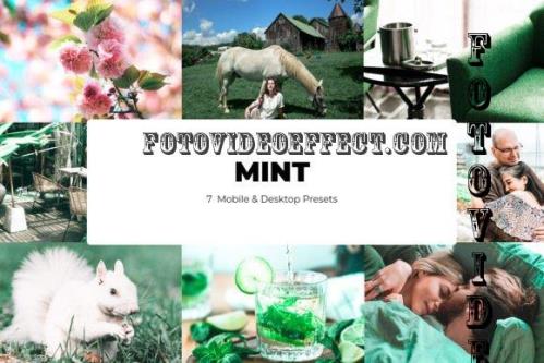 7 Mint Lightroom Presets - Mobile & Desktop