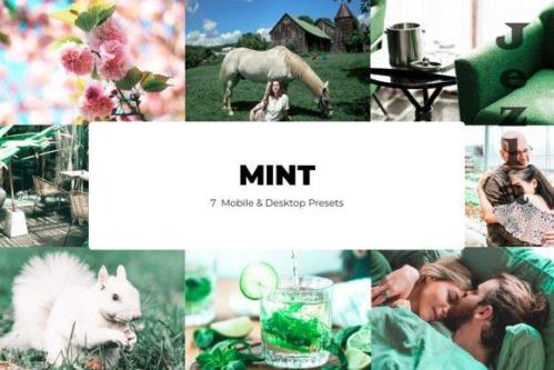 7 Mint Lightroom Presets - Mobile & Desktop