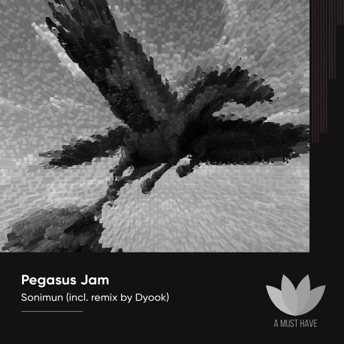 VA - Sonimun - Pegasus Jam (2022) (MP3)