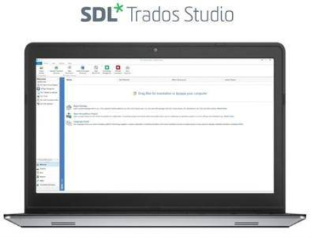 Trados Studio 2022 Professional 17.0.4.13209 + Portable