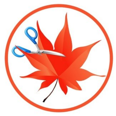 Easy Cut Studio 5.020 Multilingual