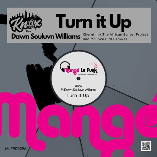 VA - Knox feat Dawn Souluvn Williams - Turn It Up (Remix) (2022) (MP3)
