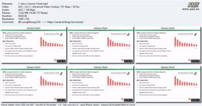 Mastering Excel Data Visualization: Static  Charts & Graphs