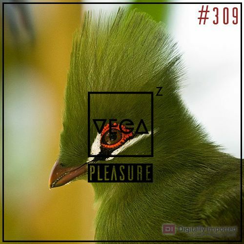 VA - Vega Z - Pleasure 309 (2022-11-16) (MP3)
