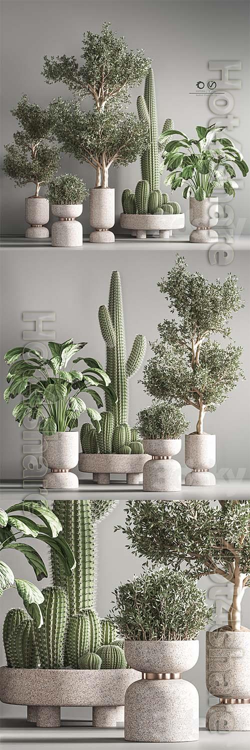 Indoor Plant Set 26 3D Models