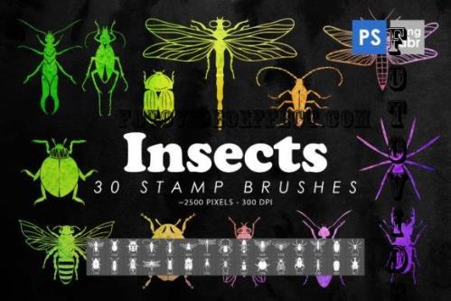 30 Insects & Bugs Photoshop Brushes