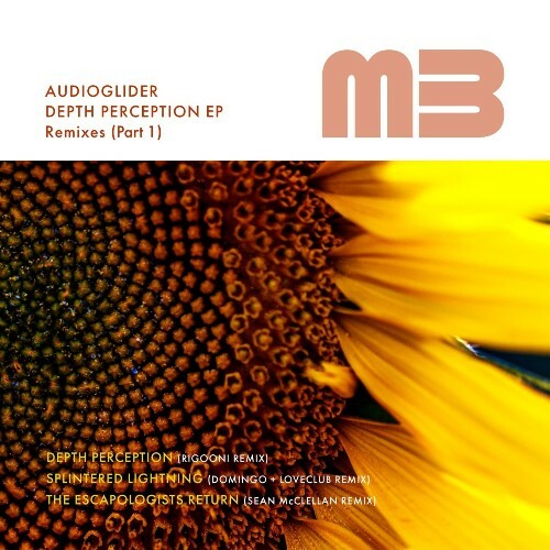 VA - Audioglider - Depth Perception EP (The Remixes, Pt. 1) (2022) (MP3)