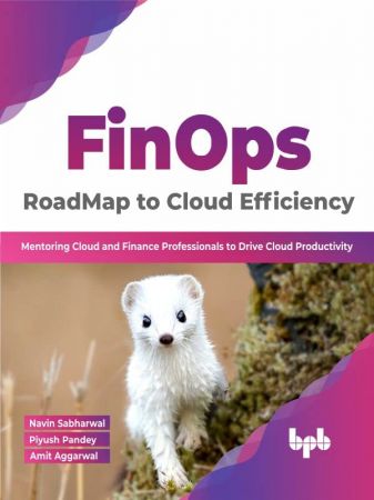 FinOps  RoadMap to Cloud Efficiency Mentoring Cloud and Finance Professionals to Drive Cloud Productivity