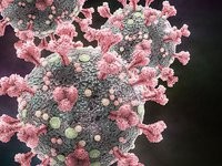 Новий варіант коронавірусу зафіксовано в Канаді