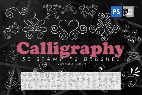 50 Calligraphy Photoshop Stamp Brushes