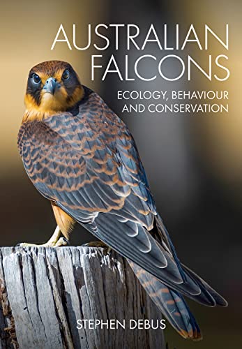 Australian Falcons Ecology, Behaviour and Conservation