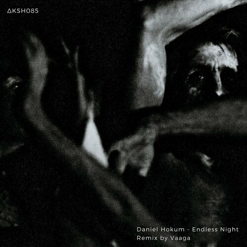 VA - Daniel Hokum - Endless Night (2022) (MP3)