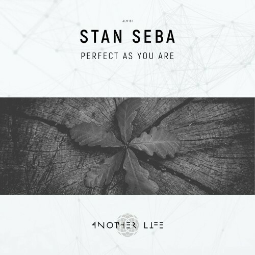 VA - Stan Seba - Perfect as You Are (2022) (MP3)