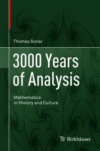 3000 Years of Analysis Mathematics in History and Culture 