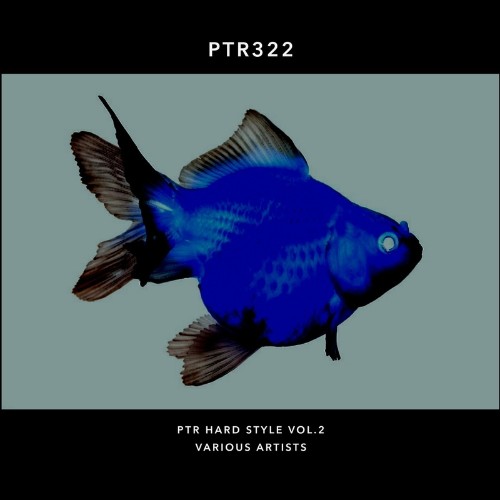 VA - PTR Hard Style, Vol. 2 (2022) (MP3)