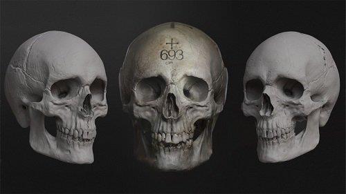 The Gnomon Workshop - Sculpting the Human Skull